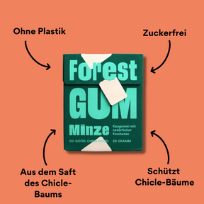Forest Gum Minze mit Impact