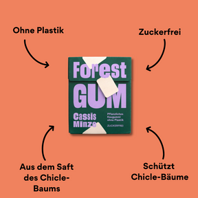Forest Gum Cassis mit Impact