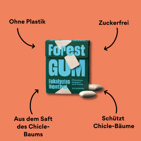 Forest Gum Eukalyptus mit Impact