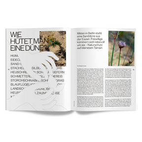 enorm Magazin Mission Artenrettung Innenansicht