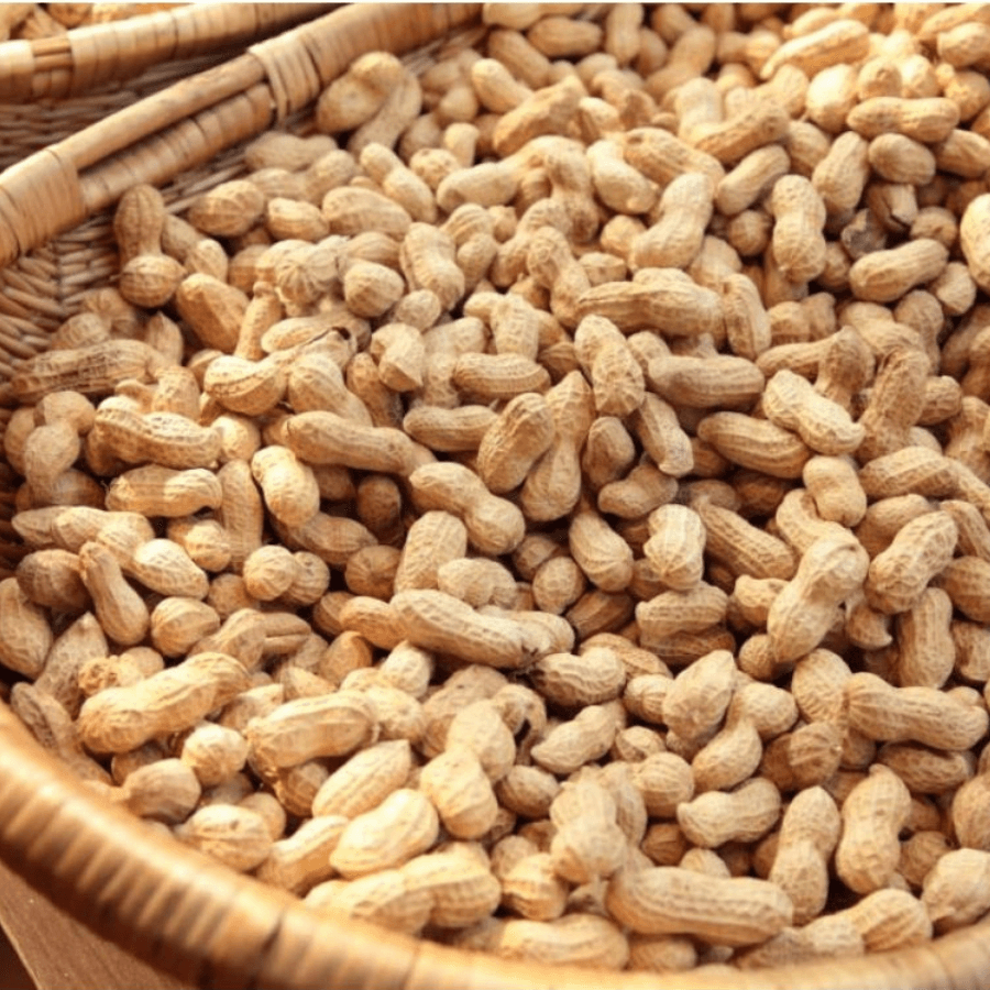 Erdnüsse mit Schale