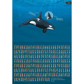 Illustration of a killer whale swimming with a comparison to human figures for scale in the deep sea.