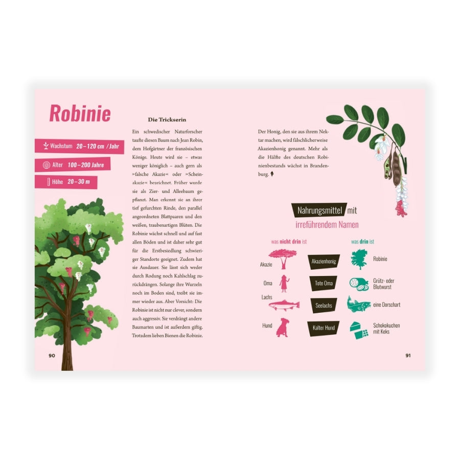 Wie man illegal einen Wald pflanzt Robinie