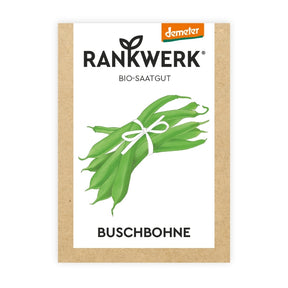 Saatgut Buschbohne