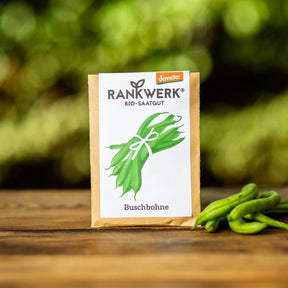 Saatgut Buschbohne von Rankwerk