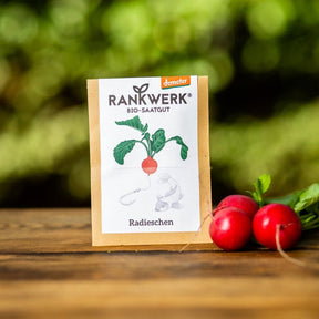 Rankwerk Pflegeleichtes Radieschen Sorte Rudi