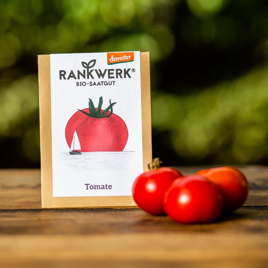 Rankwerk Balkon-Tomate Sorte Bogus Fruchta