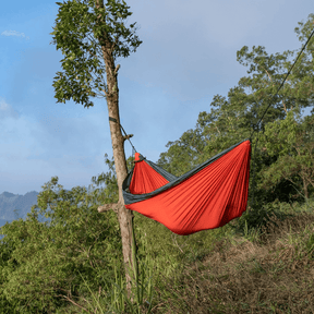 King Size Hängematte hängt zwischen Bäumen in der Natur