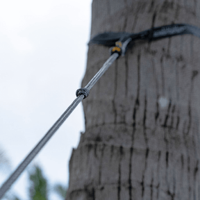 Befestigung der Lightes Straps an einem Baum